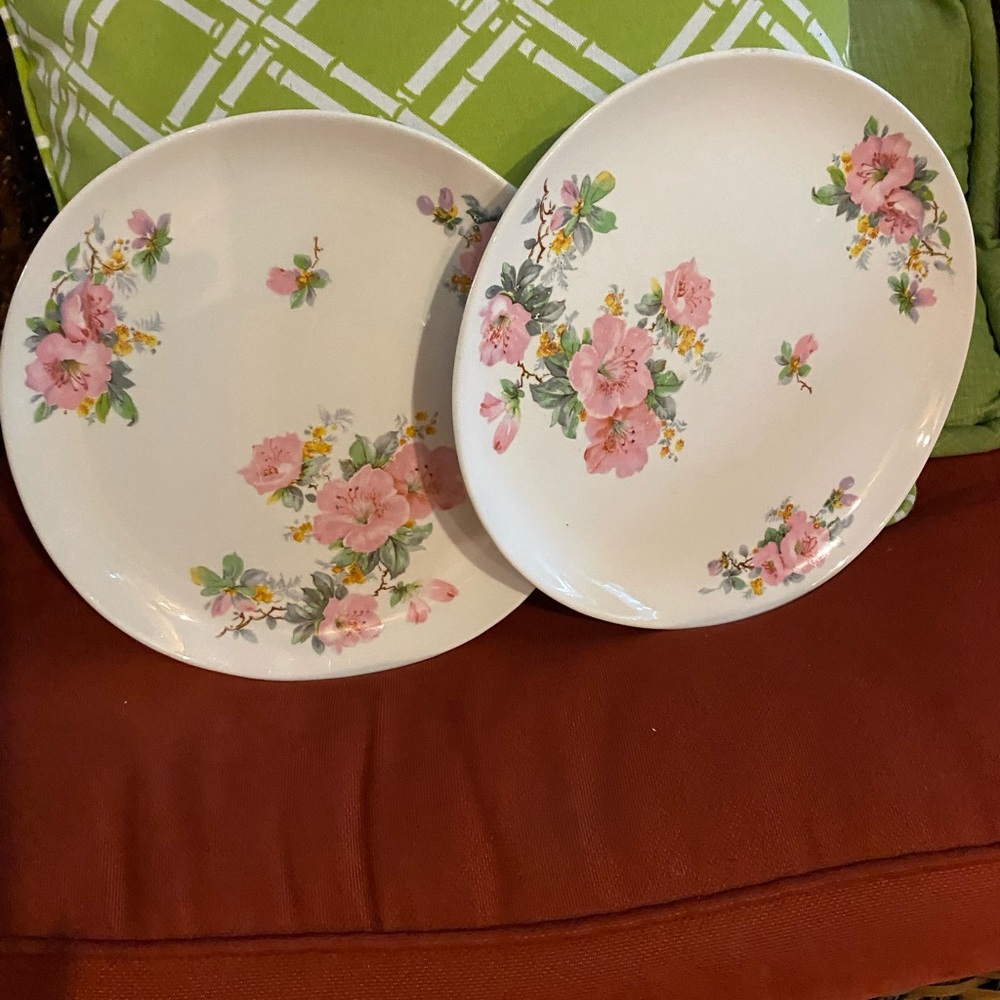 Crooksville Vintage 1940/50’s Pink Floral Dinner Plates - Set of 2